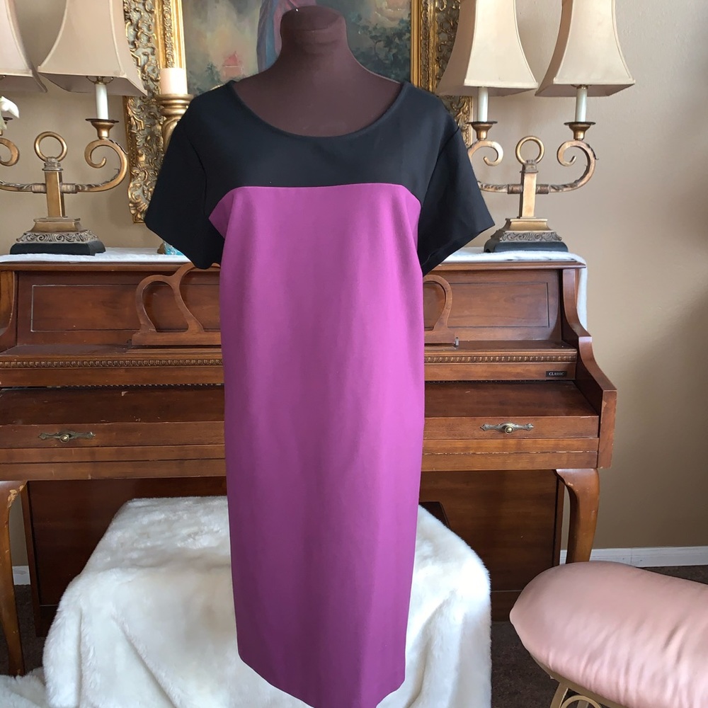 Purple ColorBlock Stretch Shift Dress Scoop Neck